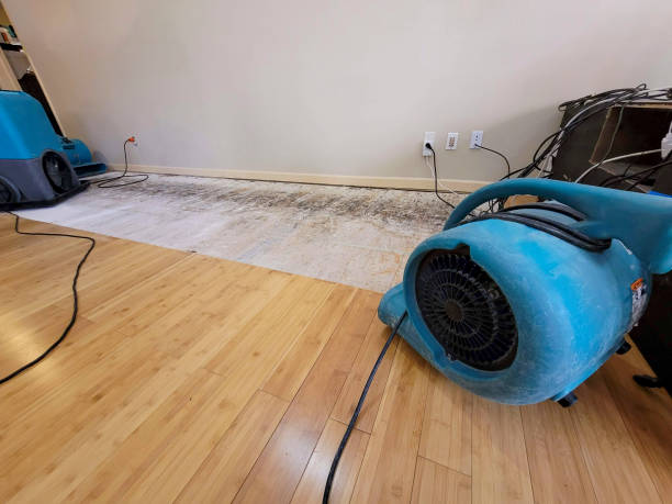 Professional Basement Flood Cleanup technician working in Arkansaw, WI